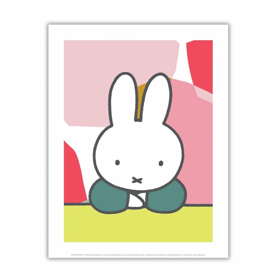 Art & Stationery MIFFY  | Miffy Floral Expression Pose Mini Poster